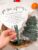Aneco 60 Pieces Wedding Hand Fans Review